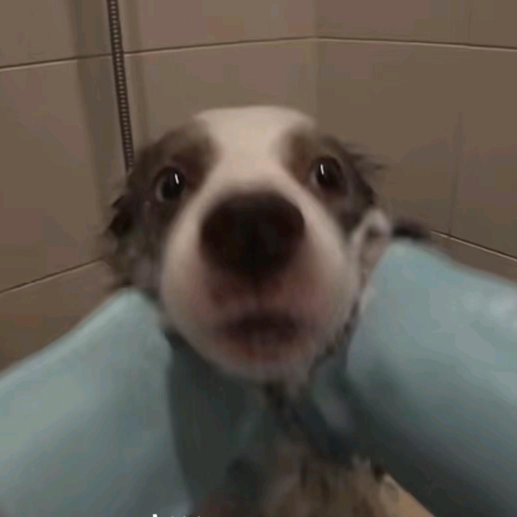 宝赠