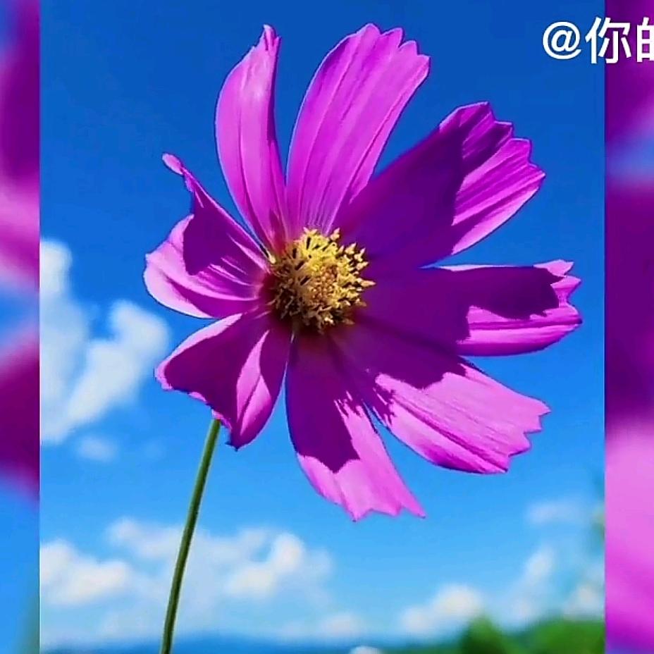 你的人生还有远方