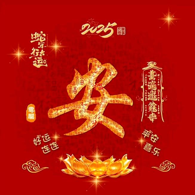 骑猪追火箭