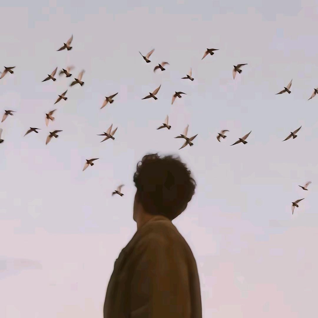 悲伤的原始野人