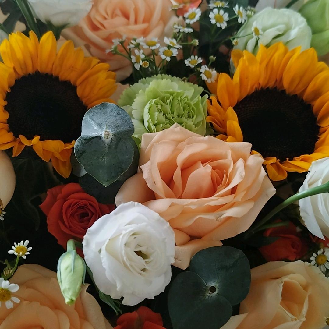 💞࿐姐ღ᭄是限量版᭄💞࿐