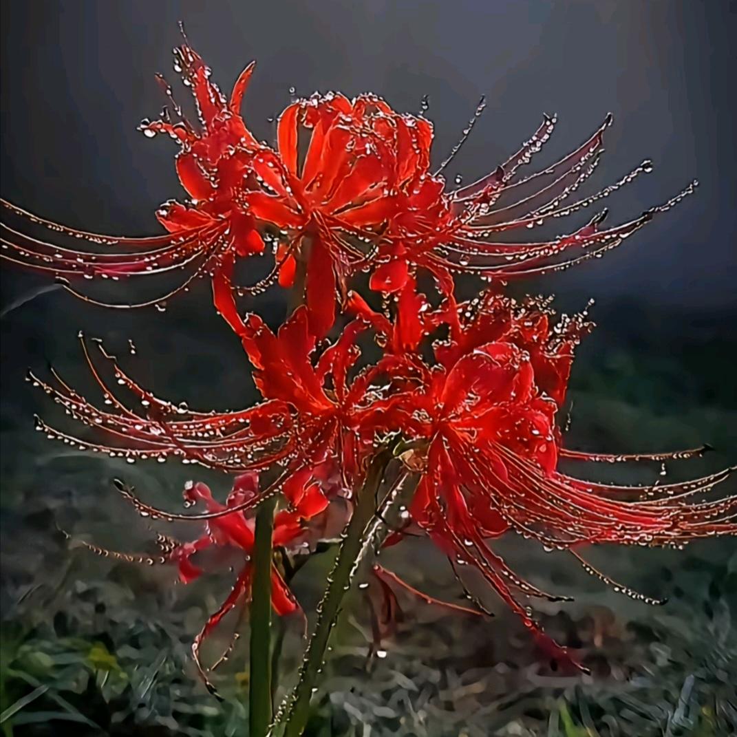 ㅤㅤㅤℒᎭℯ⃝封ᩚ꯭心ᩚ锁꯭ᩚ爱ᩚঞ