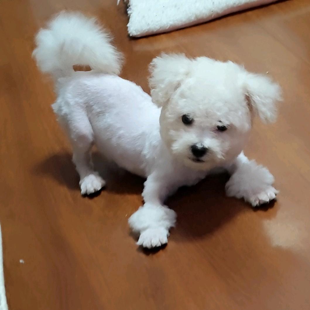 偶尔萌萌的煜芳宠物用品直播间