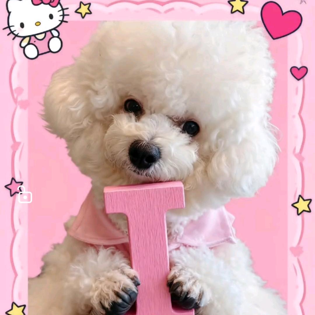lucky 不是🐶❤️