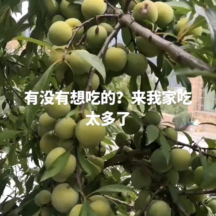 谁都不信只信自己✊✊(杨)