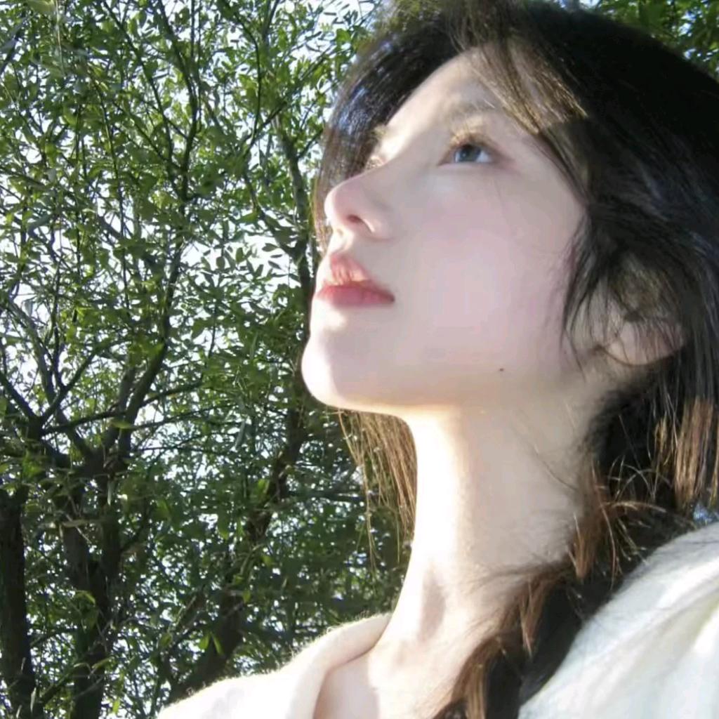 山岛雪🎸
