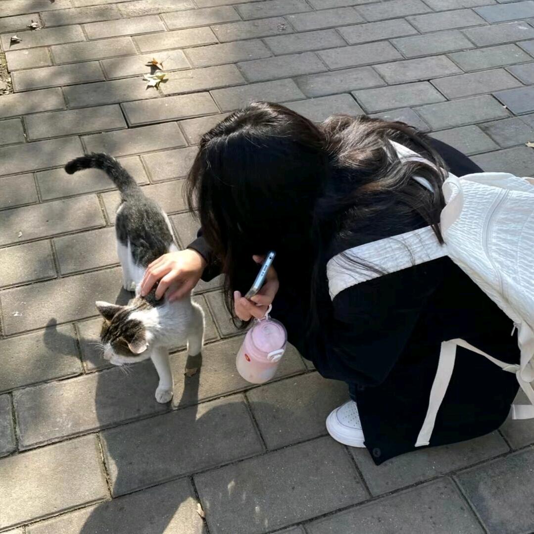 小琦不吃鱼