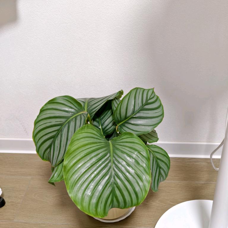 不要关注