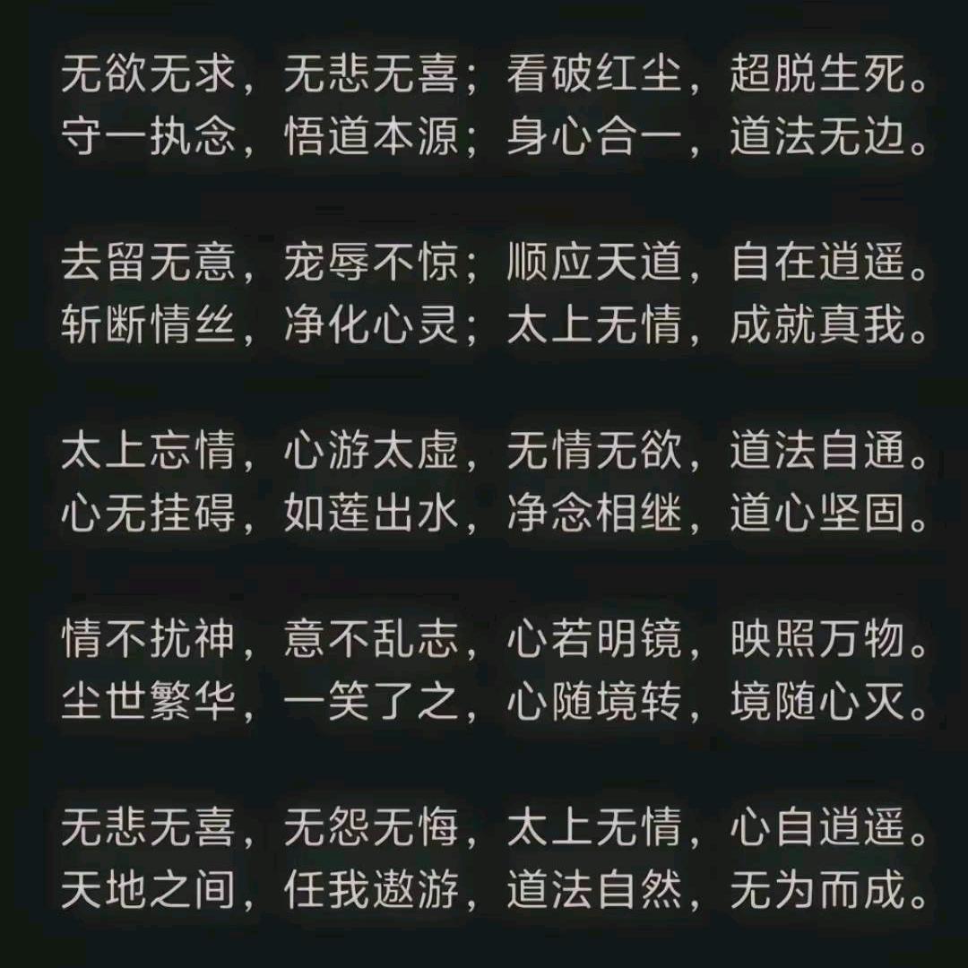 太上无情道