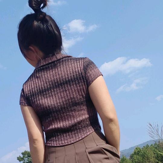 两袖清风