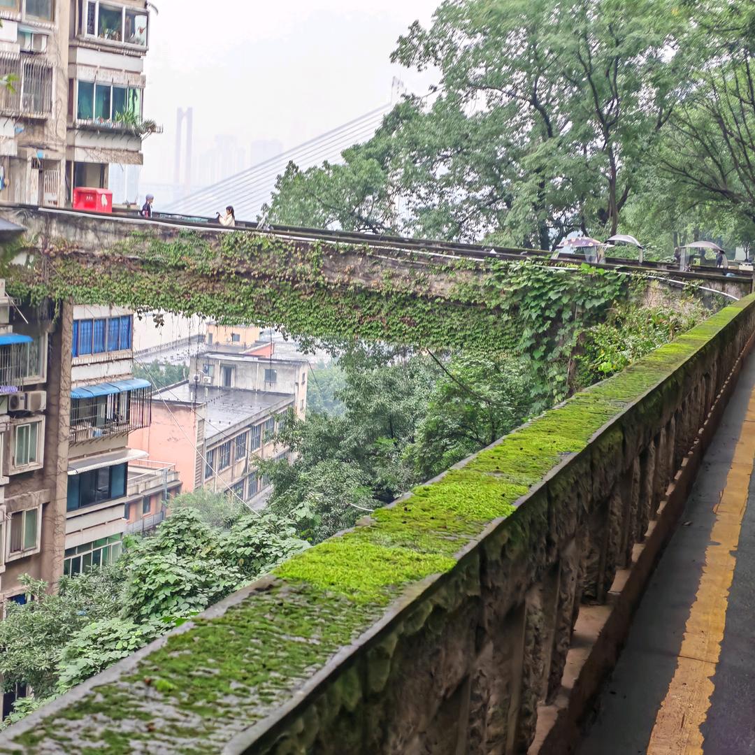 不带小字的名字