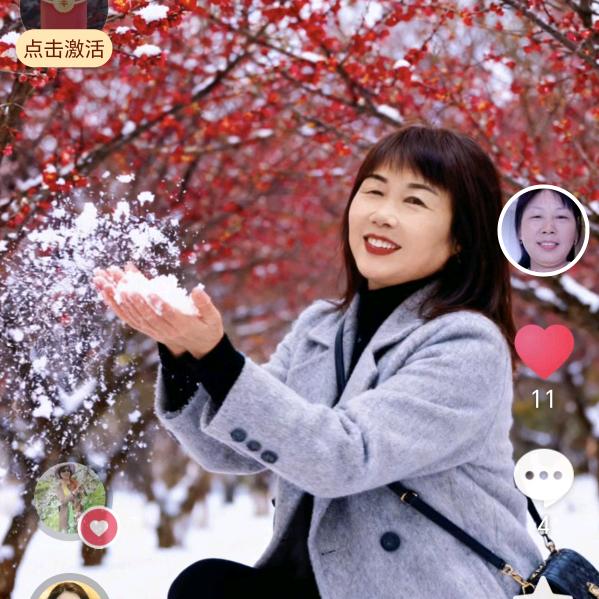 九月菊，