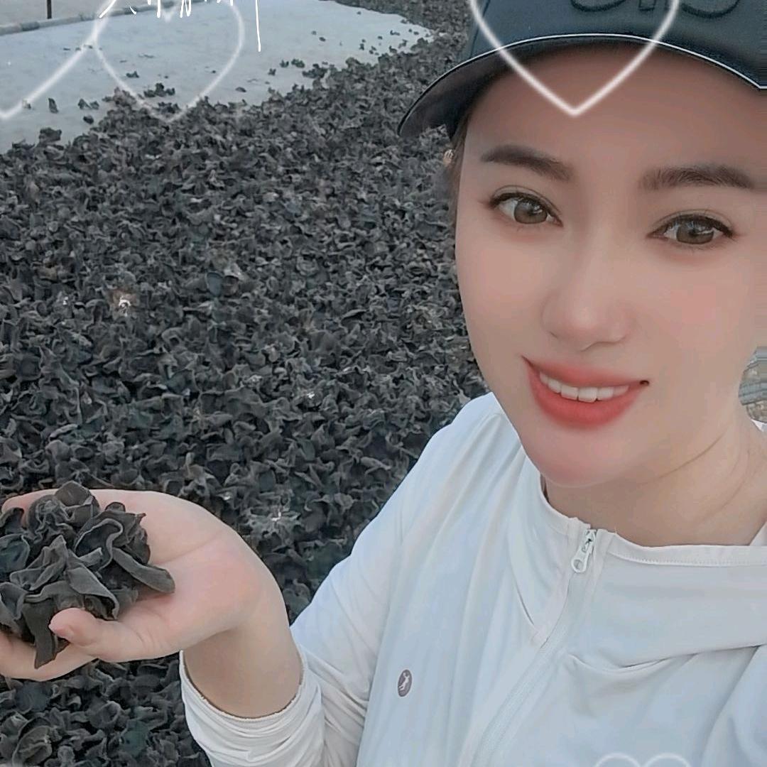 木耳小妹的种植日记