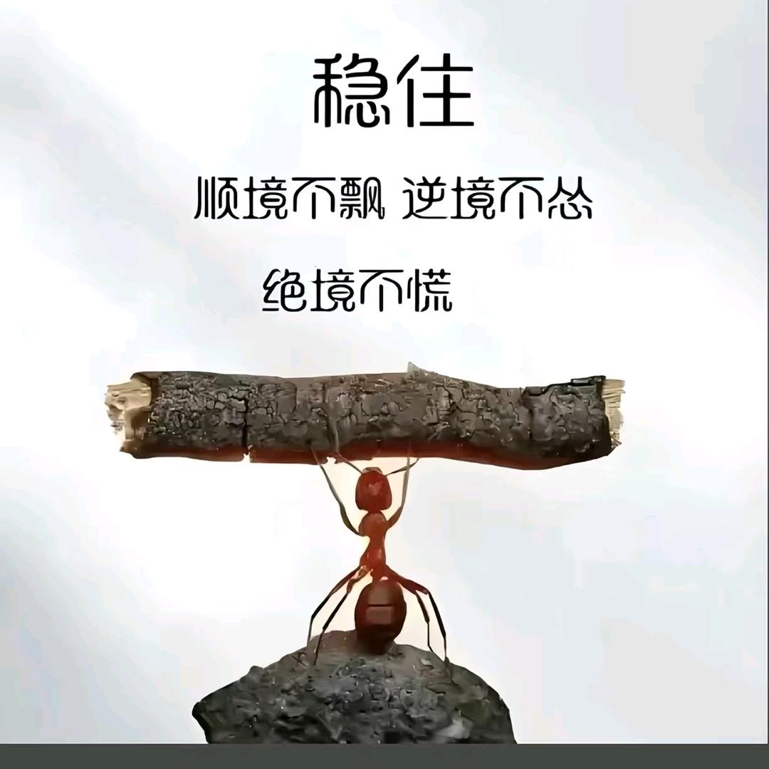 @欭惗（yin nian）: