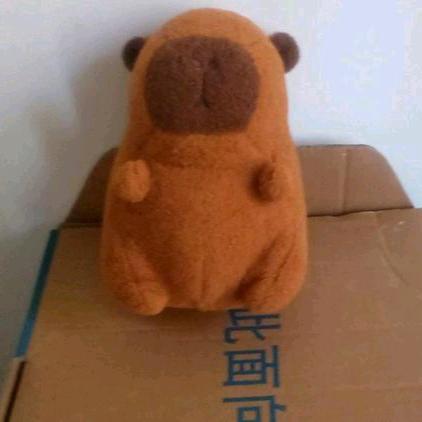 小陈皮