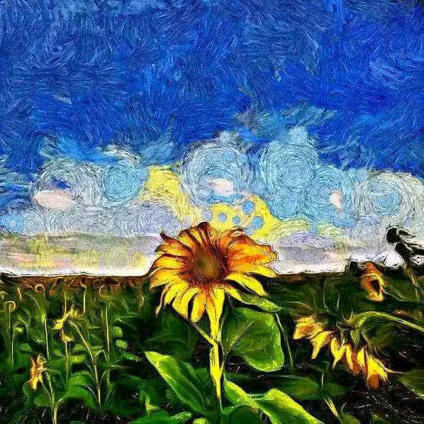 高更家的小猪🐖爱画画