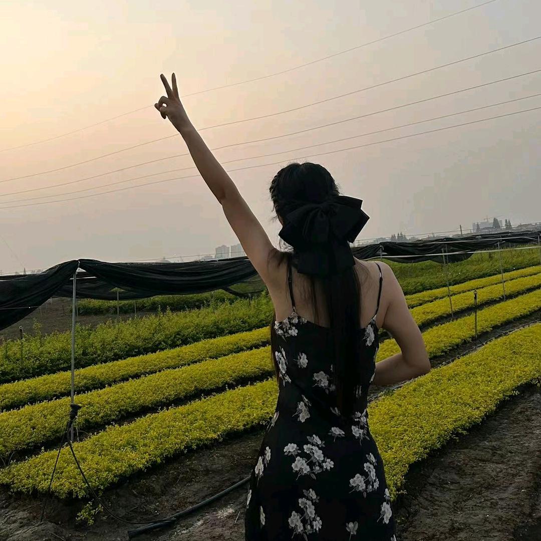 杉杉