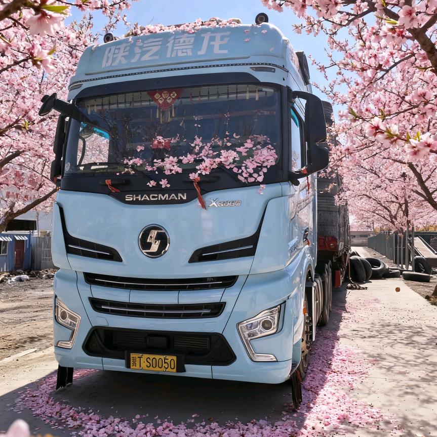 @太阳照在元安河上