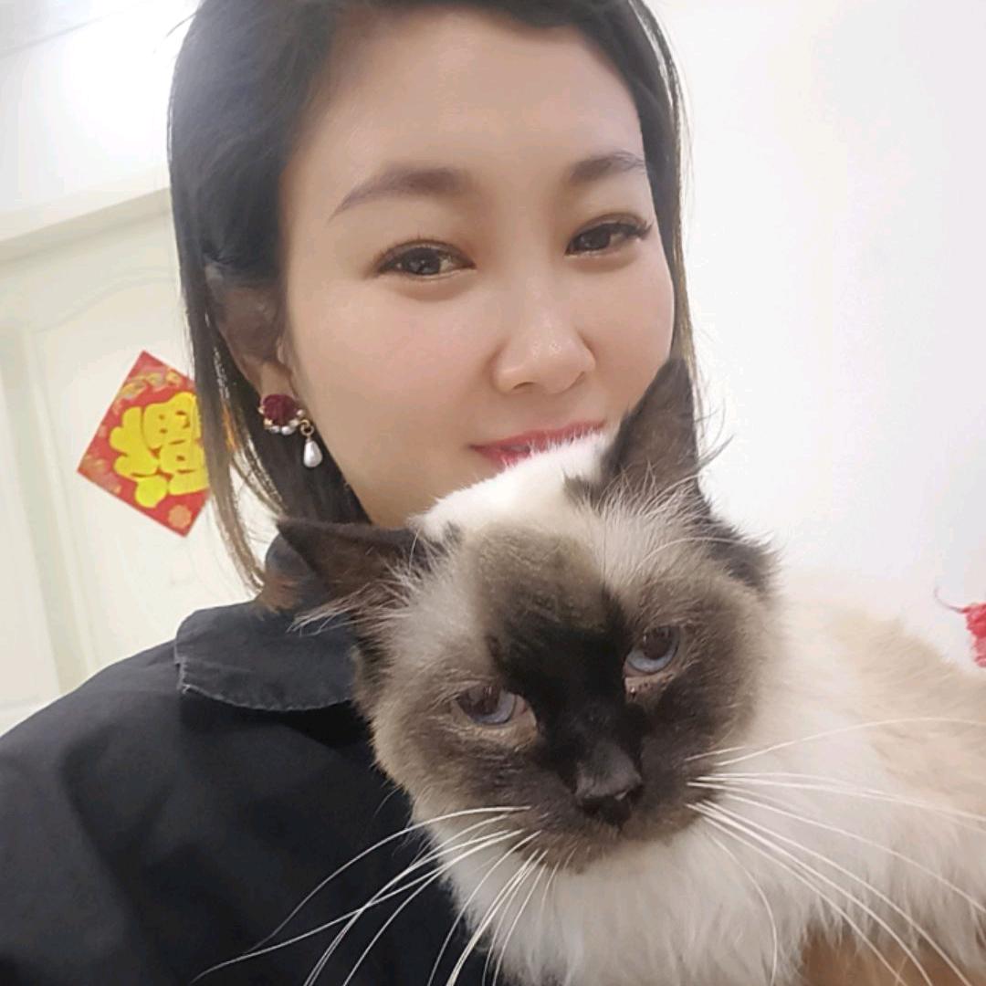 葛应应