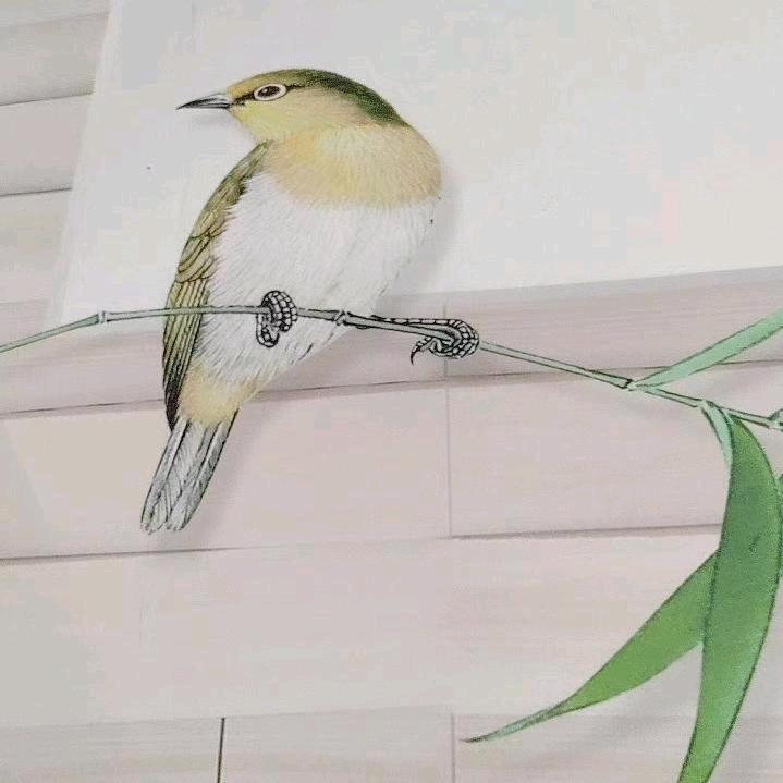戈五