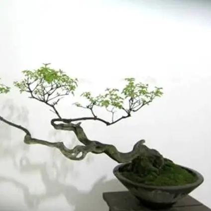 小刘和老赵