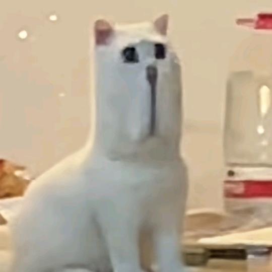 一条烤鱼