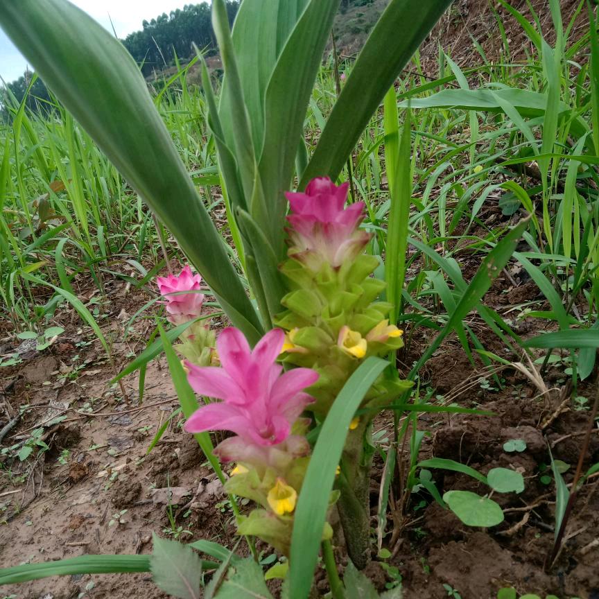 我给陌生人点了个赞🌴🌴🌴🌴🌴?