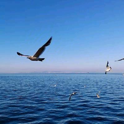 @风里来，雨里去！🙏🙏🍎🍎