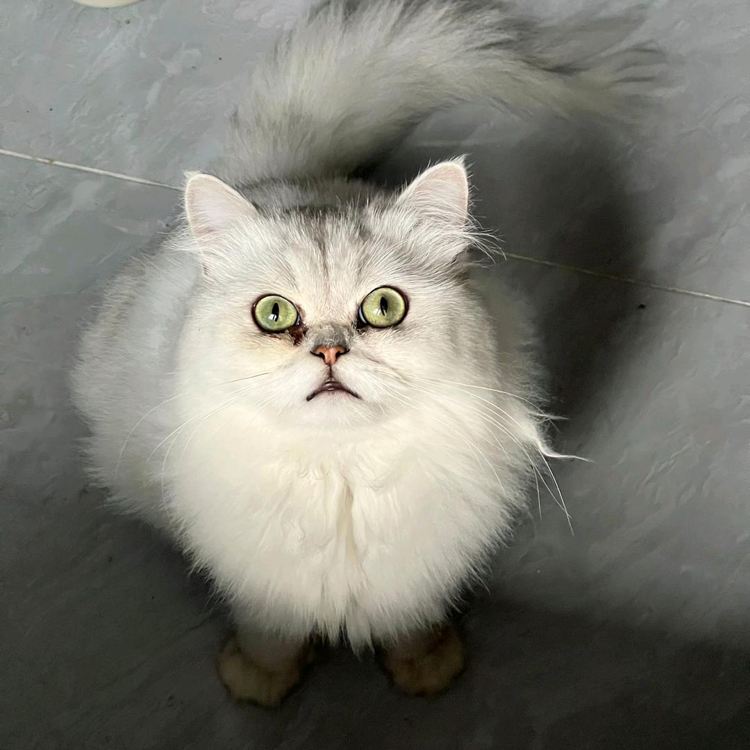 💞ঞᩚ᭄清伶浅醉ꦿꕥ້໌ᮨ💕