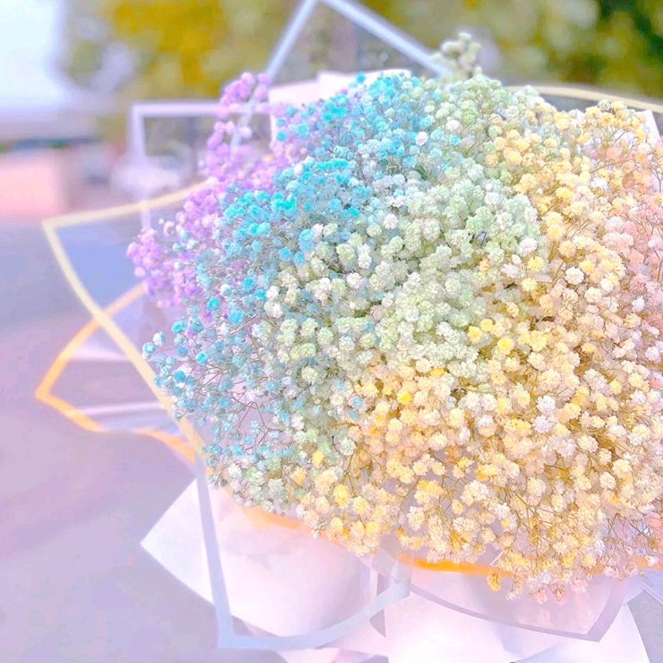 🌺🌺满天星🌸🌸