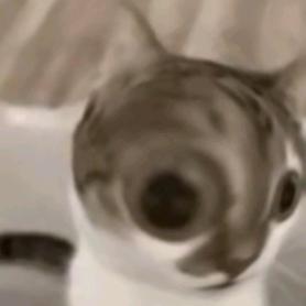 ✓都不看dy