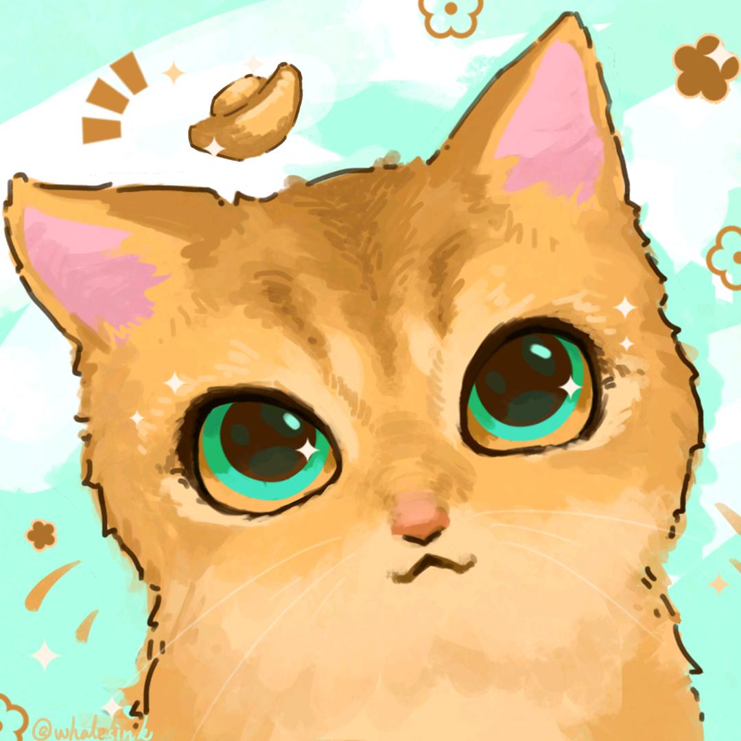 团长来啦meow