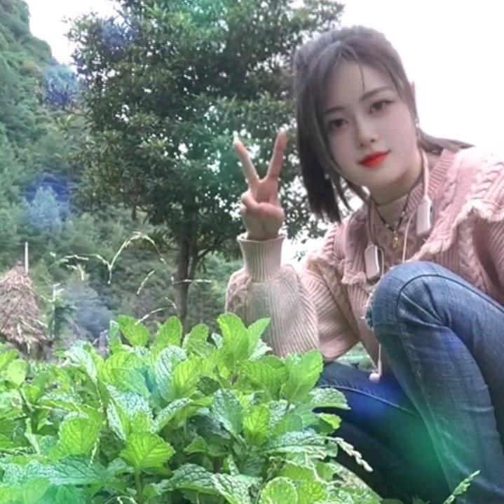 月儿