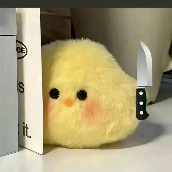 yy