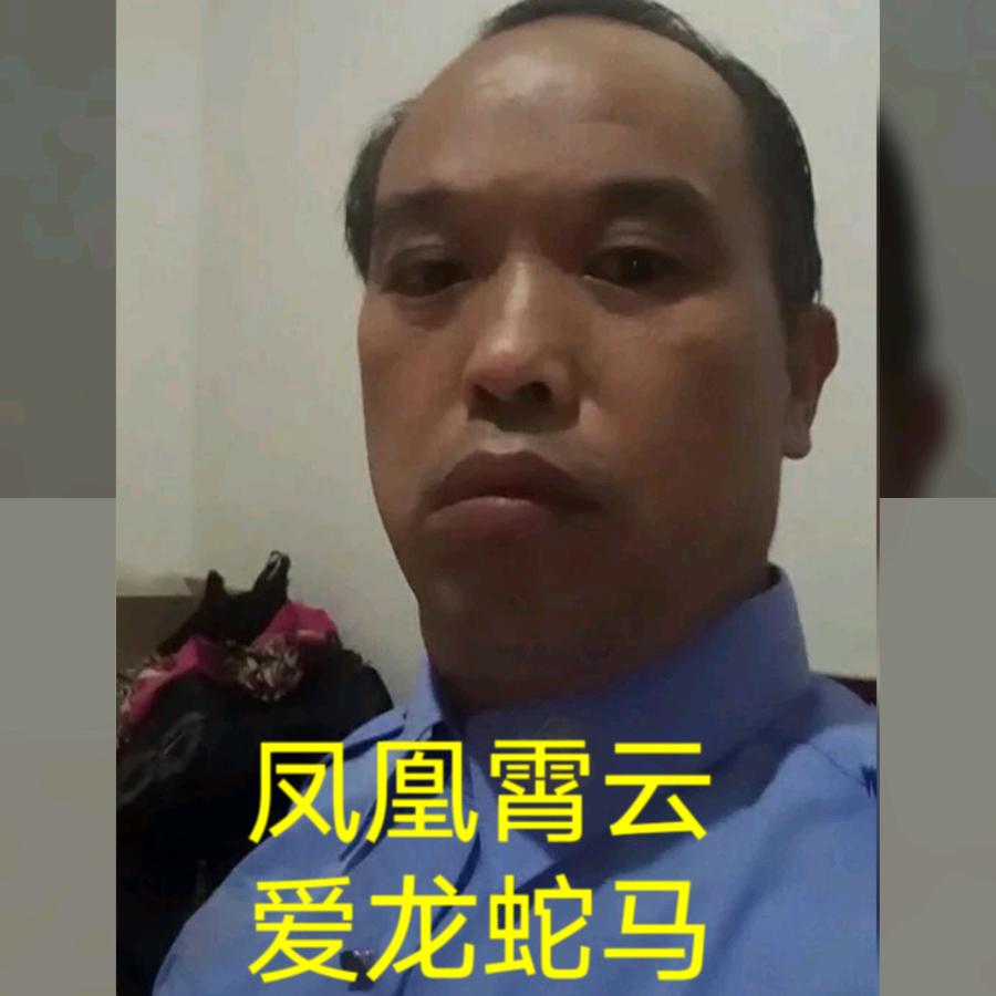爱龙蛇的肖云