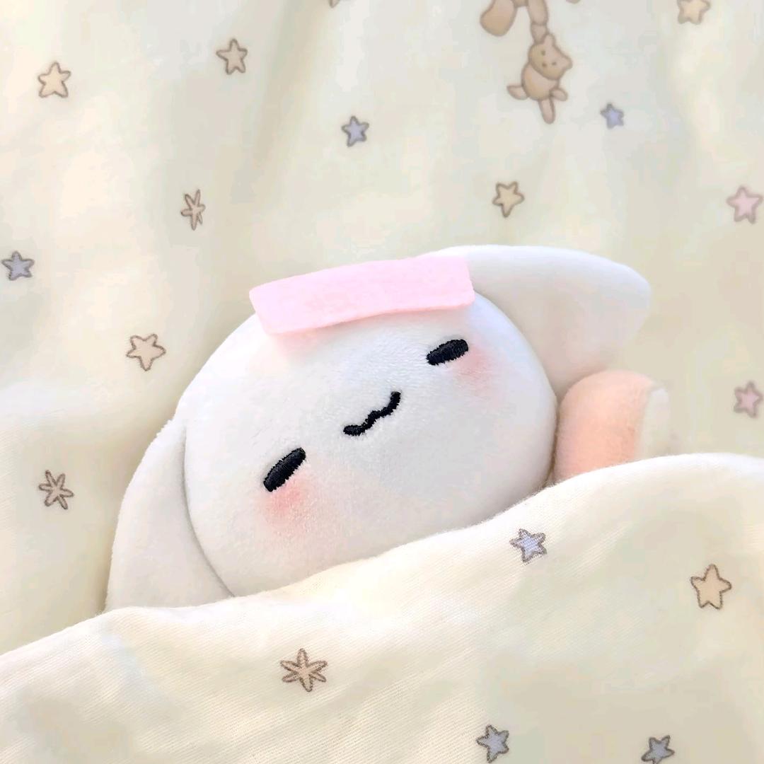 ≽^•⩊•^≼