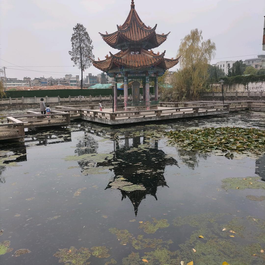 不念“”””过往