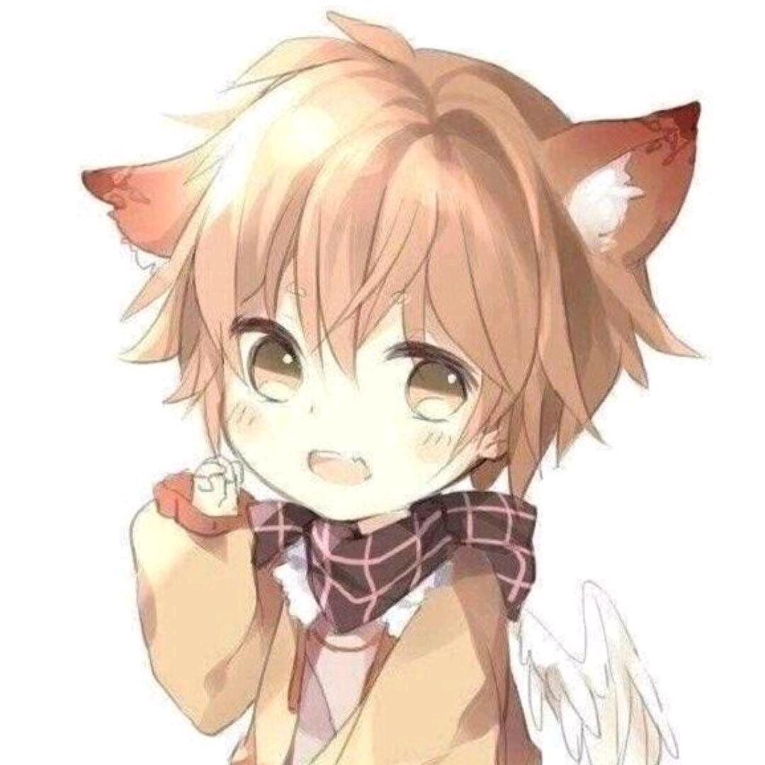 七毛（远光84）