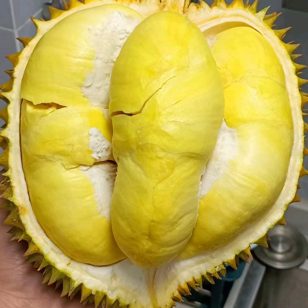 黑马 优果小时达潮州湘桥店授权15号