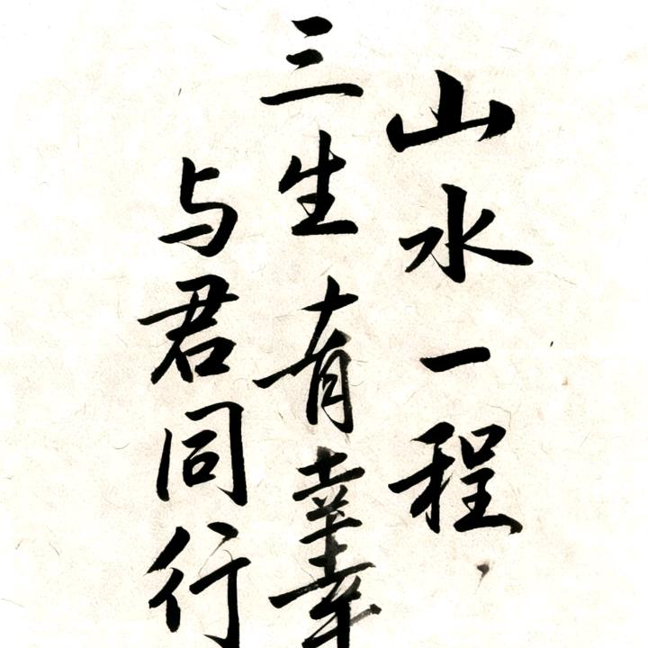 与君同行