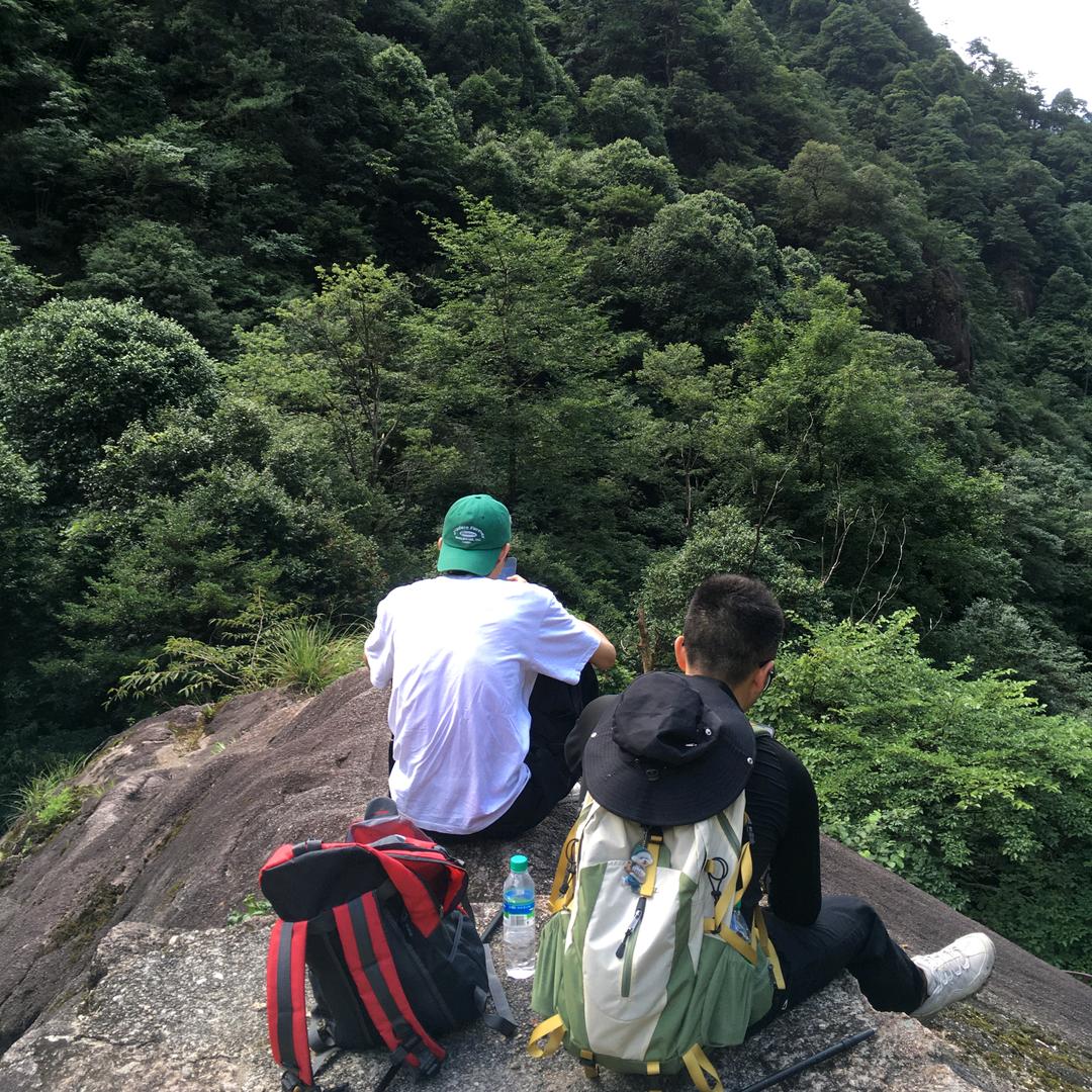 失控贪吃象