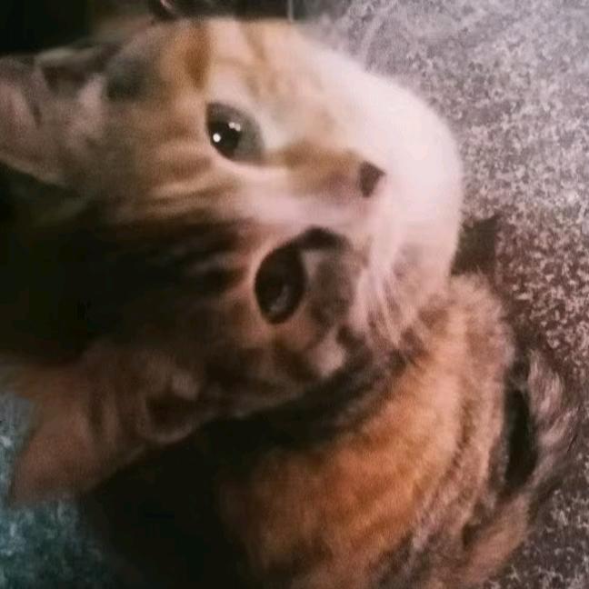我又
