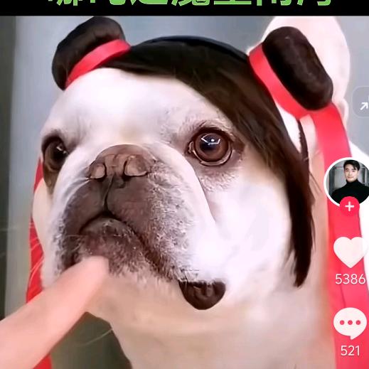两个故事