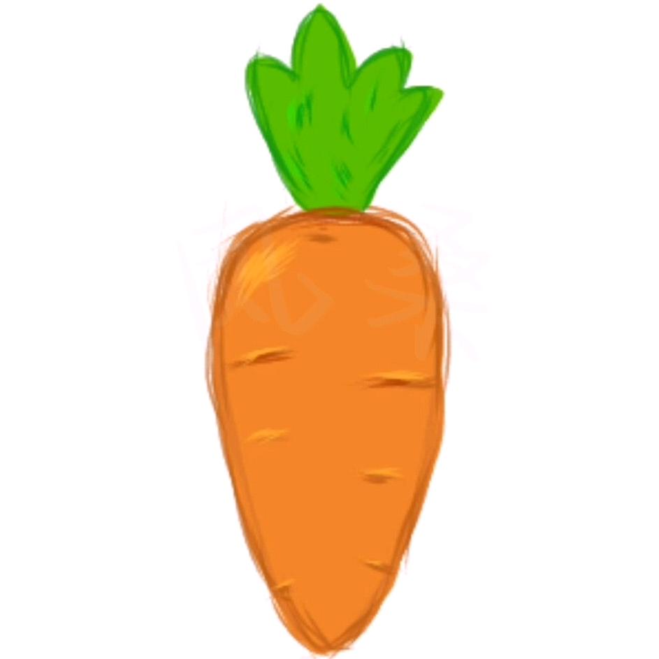 小凤桑🥕