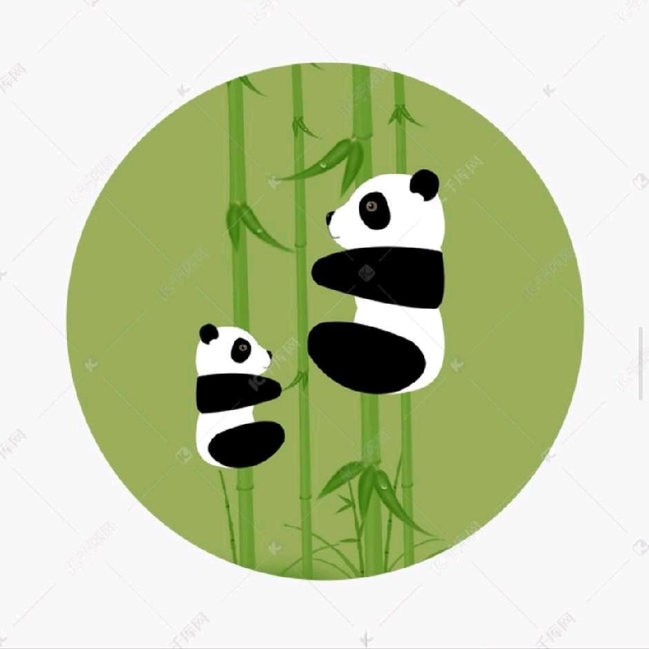 熊猫小可爱