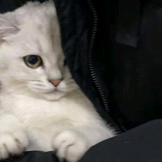 清和