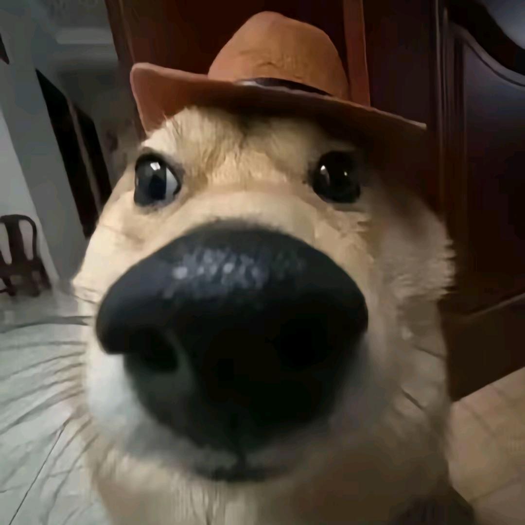 逸泽安