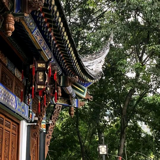 天合道一