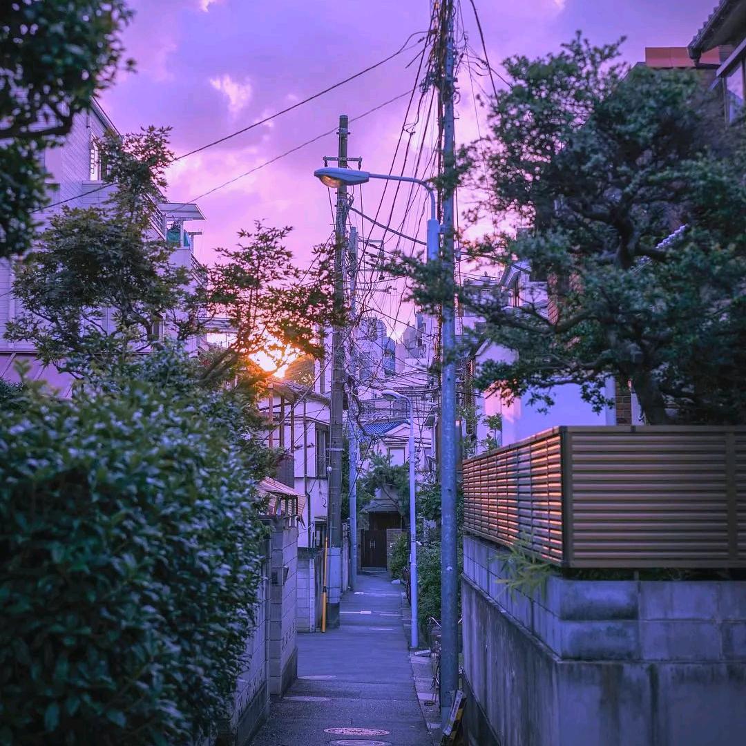 小书画