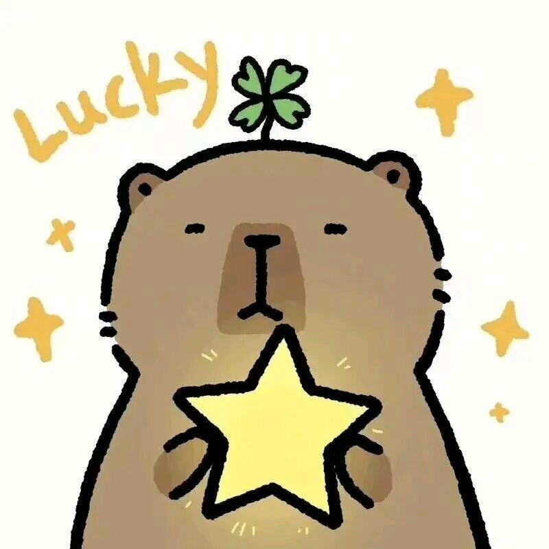 卡皮巴拉好物精选